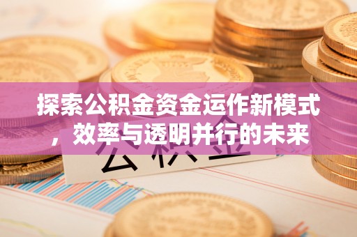 印台探索公积金资金运作新模式，效率与透明并行的未来