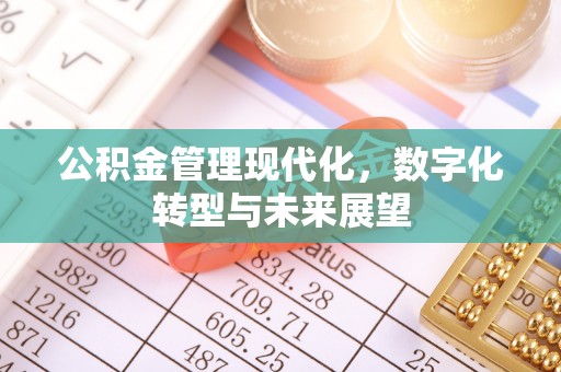 印台公积金管理现代化，数字化转型与未来展望