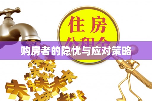印台购房者的隐忧与应对策略