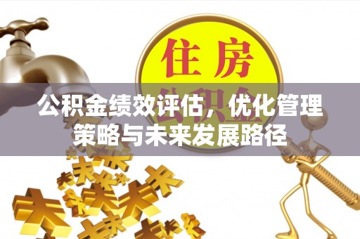 印台公积金绩效评估，优化管理策略与未来发展路径