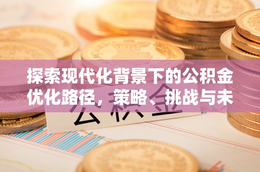 印台探索现代化背景下的公积金优化路径，策略、挑战与未来展望