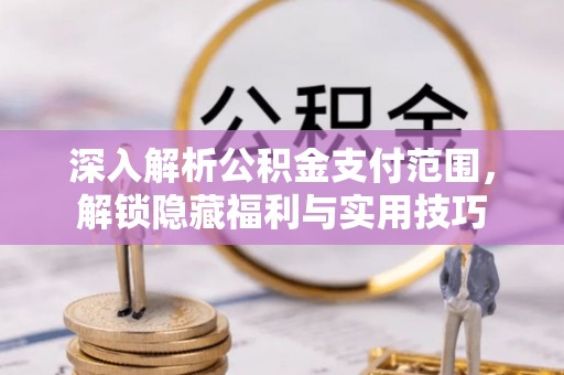 印台深入解析公积金支付范围，解锁隐藏福利与实用技巧