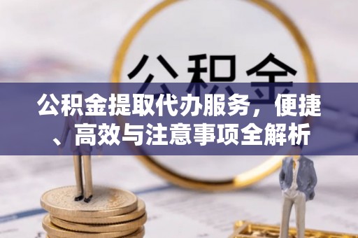 印台公积金提取代办服务，便捷、高效与注意事项全解析