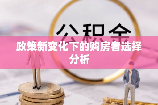 印台政策新变化下的购房者选择分析