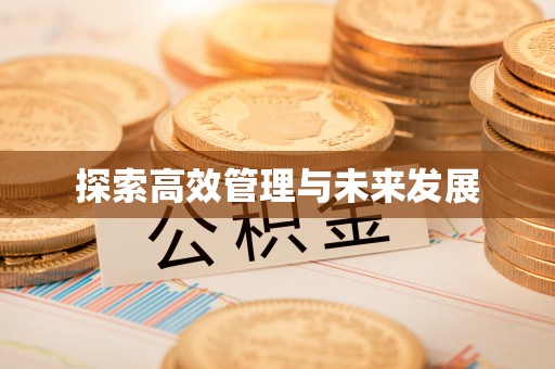印台探索高效管理与未来发展