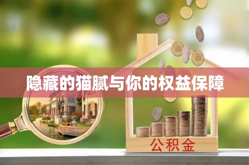 印台隐藏的猫腻与你的权益保障