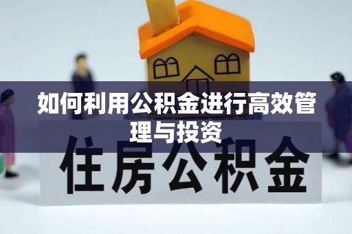 印台如何利用公积金进行高效管理与投资