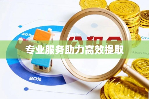 印台专业服务助力高效提取