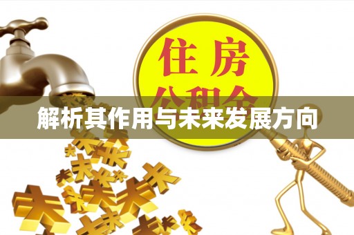 印台解析其作用与未来发展方向
