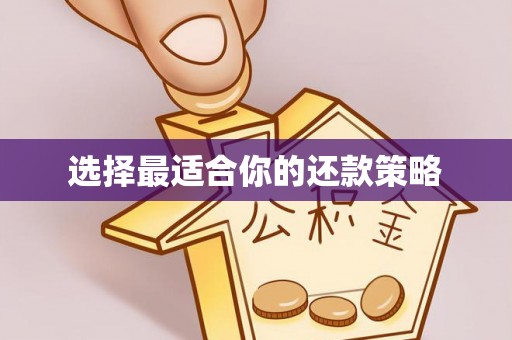 印台选择最适合你的还款策略